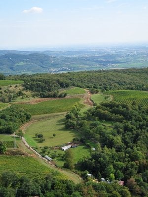 Brigaldara Amarone della Valpolicella Case Vecie 2015