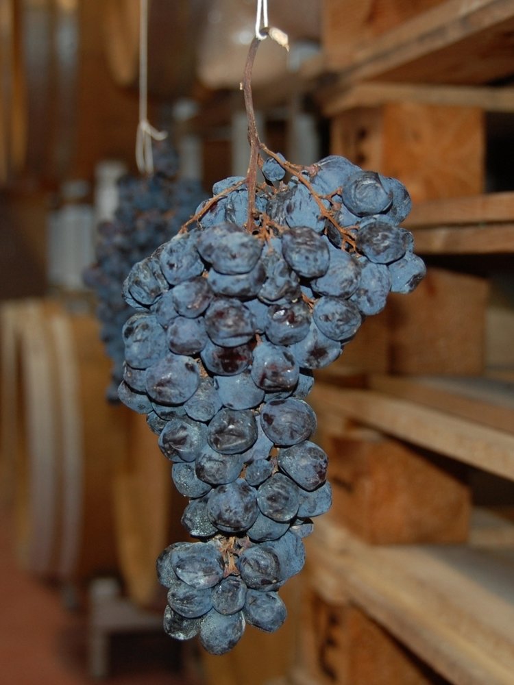 Brigaldara Amarone della Valpolicella Riserva 2015