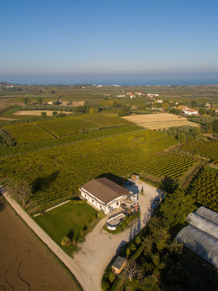 Venea Prisma Pecorino 2024