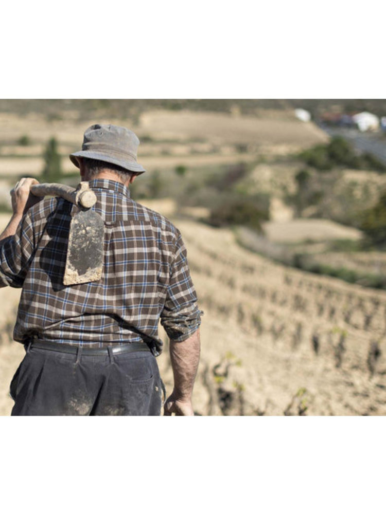 López de Haro Rioja Crianza 2019 - Magnum 1,5L