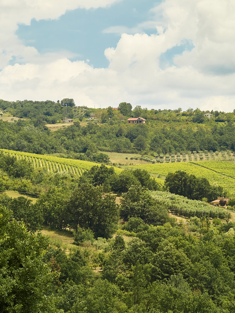 Villa Raiano Greco di Tufo 2022