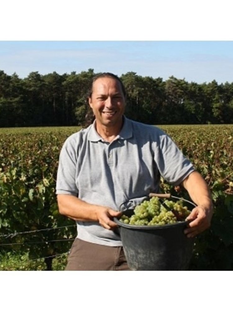 Jean Goulley Chablis 2023 - Half 0,375L