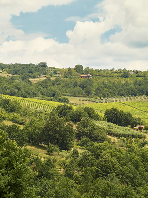 Villa Raiano Bosco Satrano Fiano di Avellino 2018