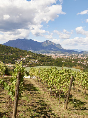 Villa Raiano Costa Baiano Campi Taurasini 2019