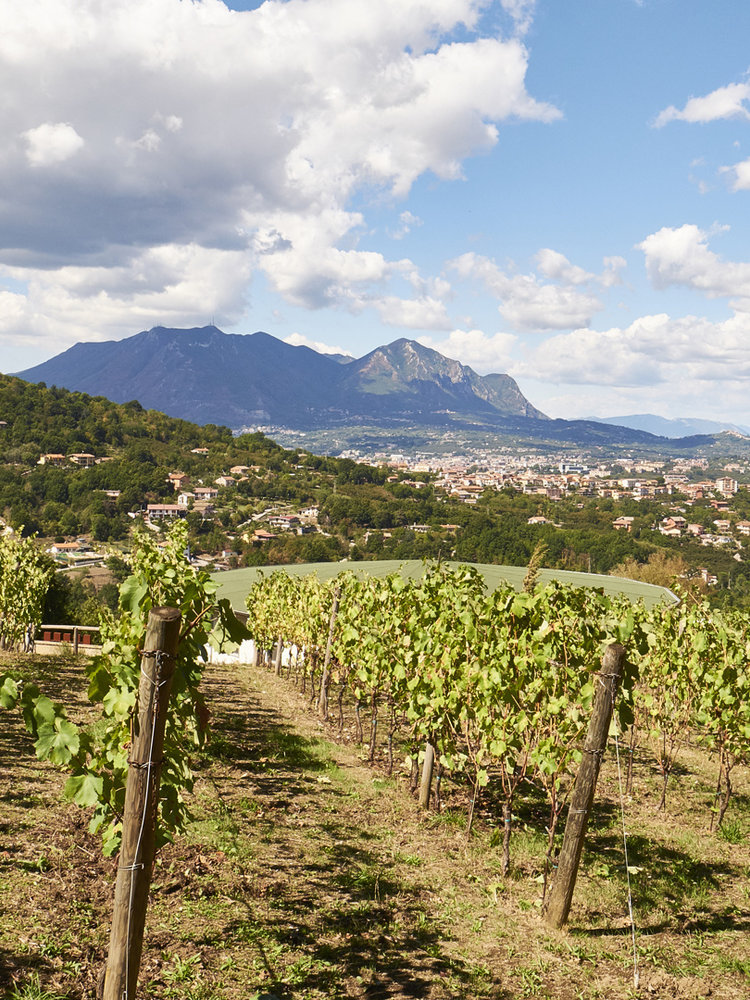 Villa Raiano Costa Baiano Campi Taurasini 2019