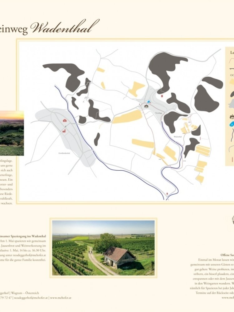 Mehofer Eiswein Gruner Veltliner BIO 2023 - Half 0,375L