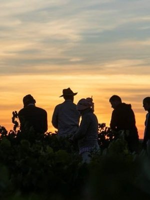 Cuatro Rayas Dama del Lago Tempranillo 2023