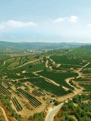 Domaine du Castel 'La Vie' Blanc du Castel 2022