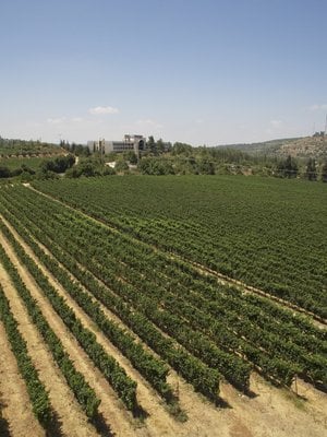 Domaine du Castel 'C' Blanc du Castel 2022