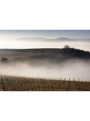 Leclerc Briant Champagne Rosé Brut - Magnum 1,5L