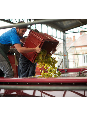 Leclerc Briant Champagne Rosé Brut - Magnum 1,5L