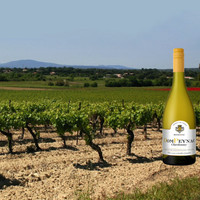 Onno Kleyn proeft onze chardonnay van DomPeynac