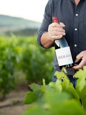 Beeslaar Pinotage 2018 - Magnum 1,5L