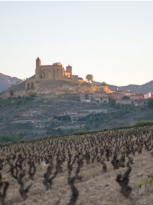 López de Haro Garnacha 2018