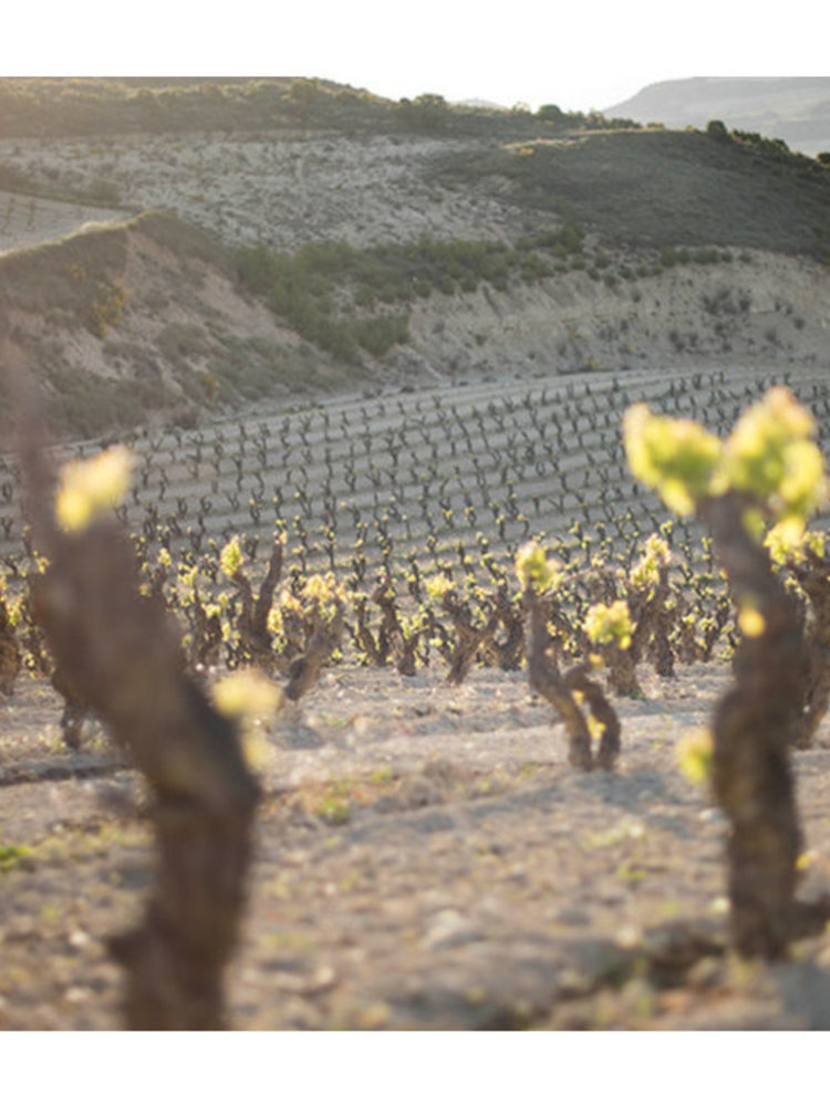 López de Haro Garnacha 2018