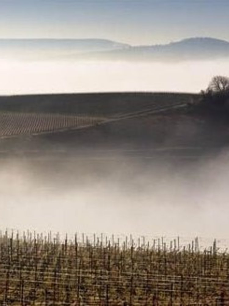 Champagne Grand Cru Grand Blanc 2015