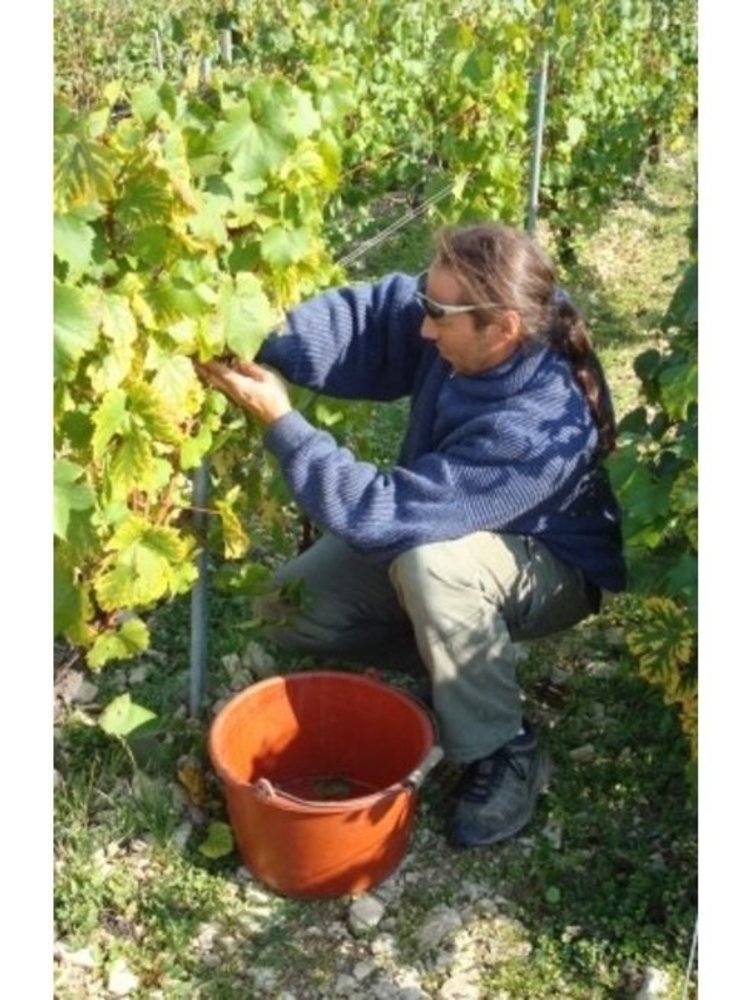 Jean Goulley Chablis BIO 2023