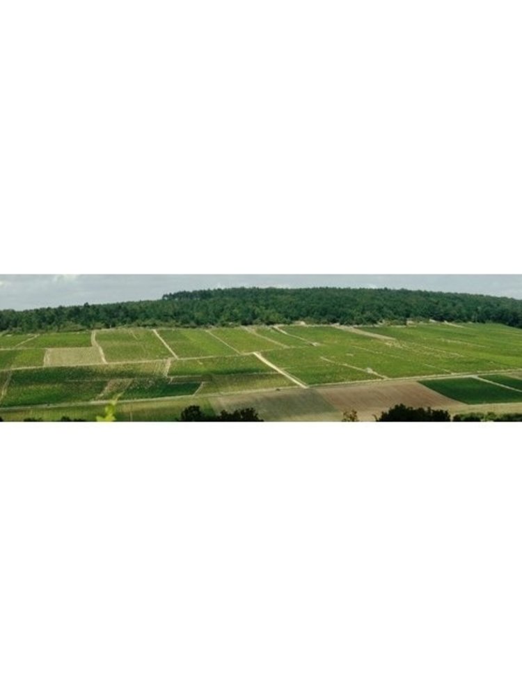 Jean Goulley Chablis BIO 2023