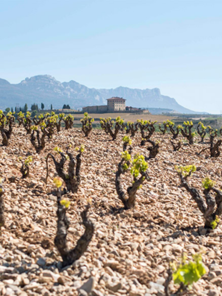 López de Haro Rioja Gran Reserva 2014