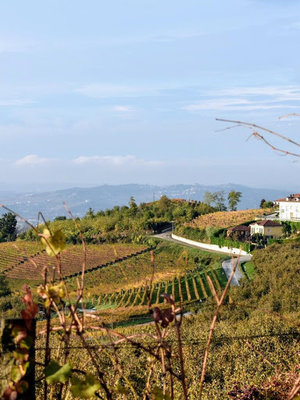 Mario Giribaldi Moscato d'Asti 2025