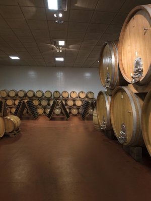 Mario Giribaldi Barbera d'Asti Alma 2024