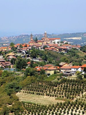 Giribaldi Dolcetto d'Alba Calupo 2022