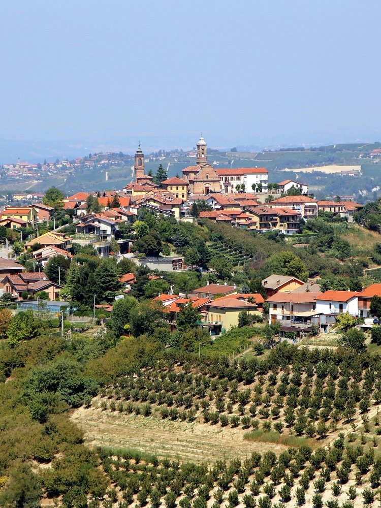 Mario Giribaldi Langhe Arneis 2024