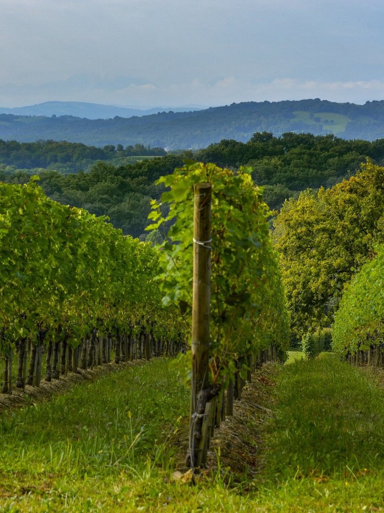 Mont d'Oraàs Les Cluques 2019