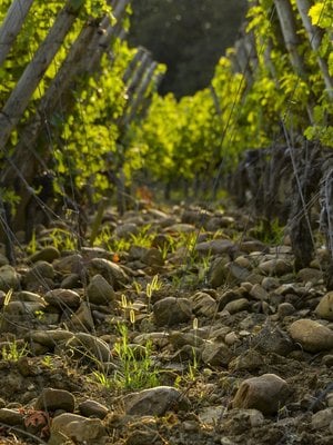 Mont d'Oraàs Les Cluques 2019