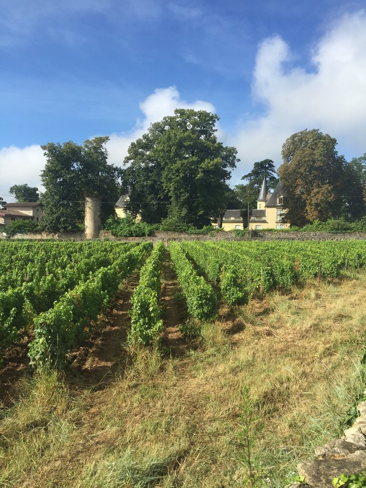 Château Dudon Sauternes 2022 - 0,5L