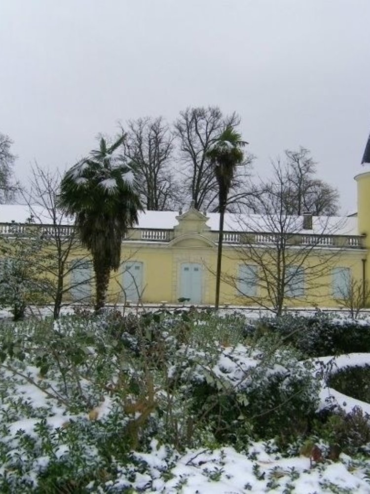 Château Dudon Sauternes BIO 2022 - 0,50 L