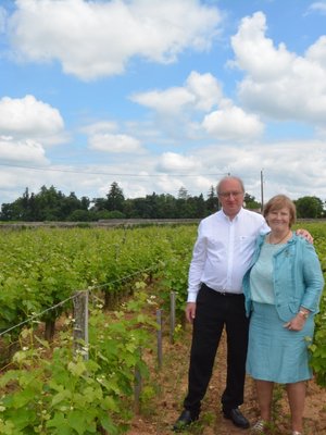 Château Dudon Sauternes BIO 2022 - 0,50 L