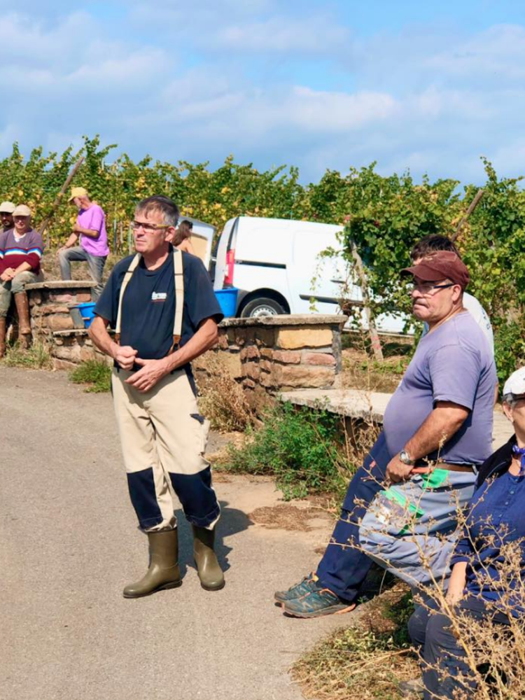 Vignoble des 2 Lunes Riesling Gén?®se 2018