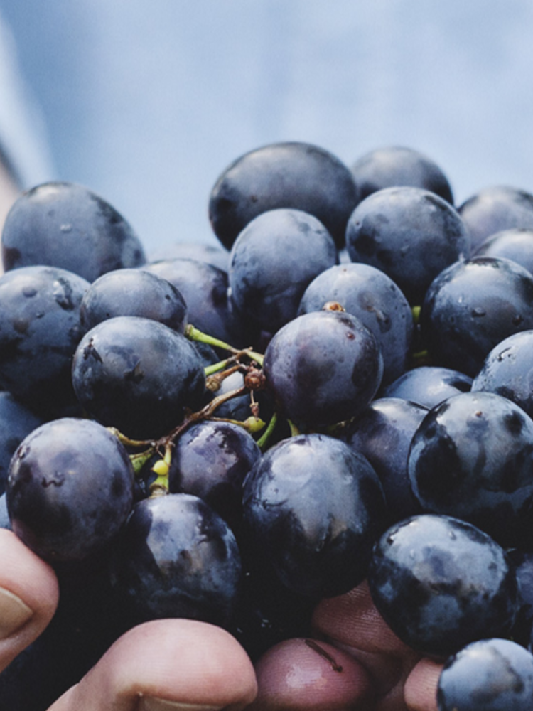 Château Vessière Les Saisons de Vessire Rouge 2019