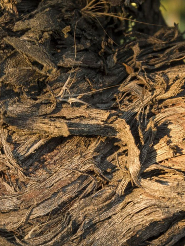 Château Vessière Les Saisons de Vessire Rouge 2019