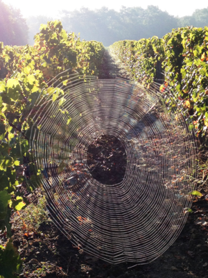 Domaine Joël Delaunay La Brossette Touraine Gamay 2020