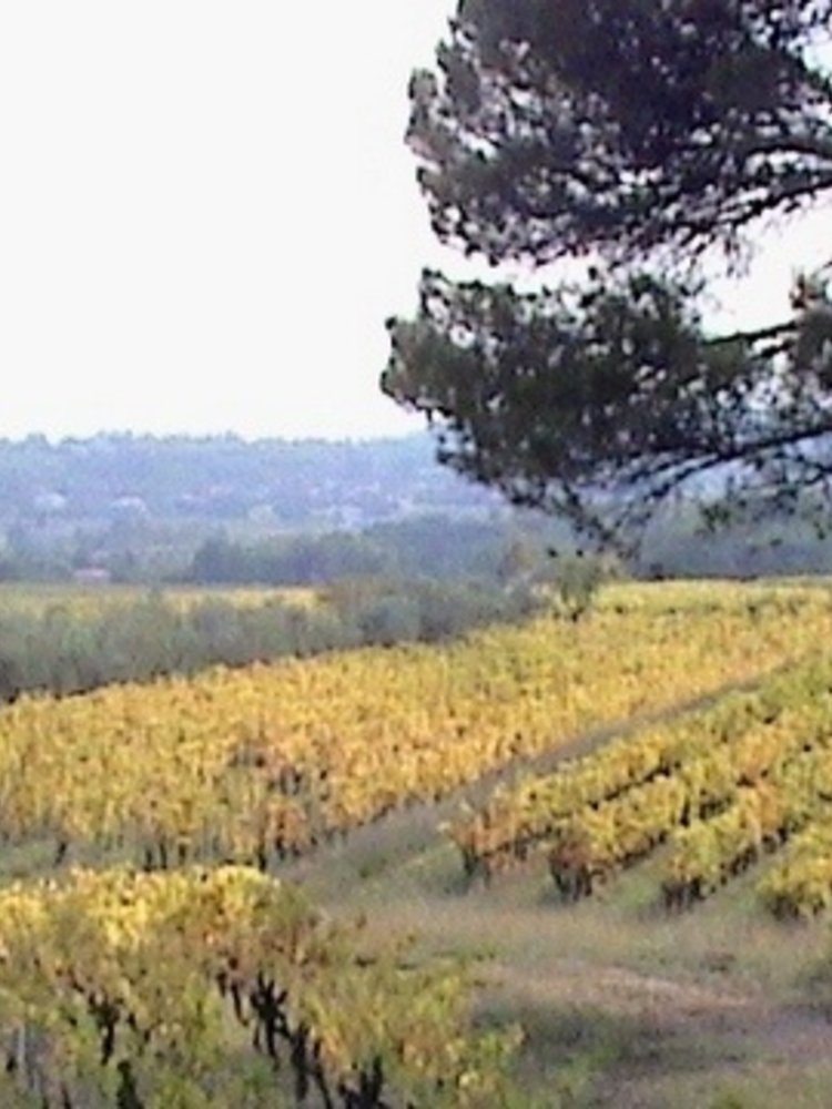 Rochecolombe Côtes du Rhône Villages BIO 2022