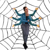 Gezocht SPIN IN HET WEB