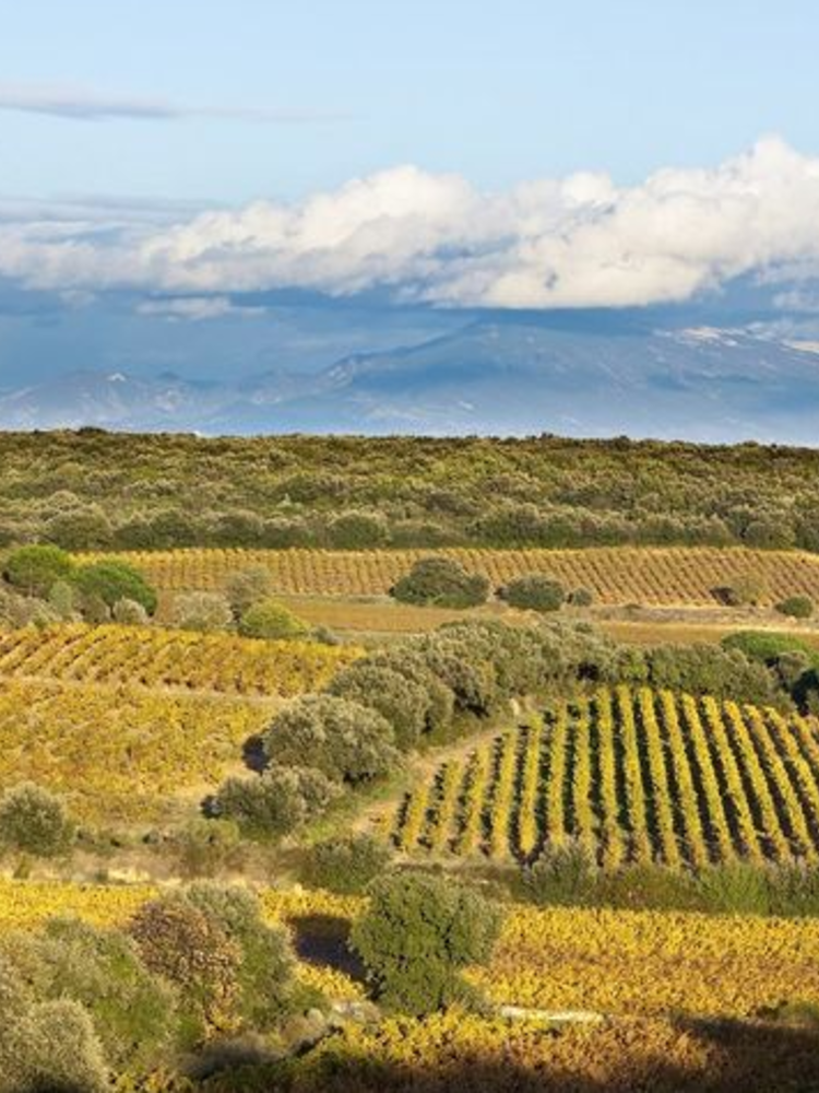 Château de Manissy Chateauneuf-du-Pape 'Trinité' BIO 2020