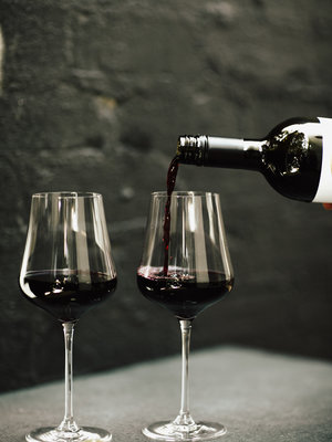 Penley Estate Son of Titan Shiraz 2021