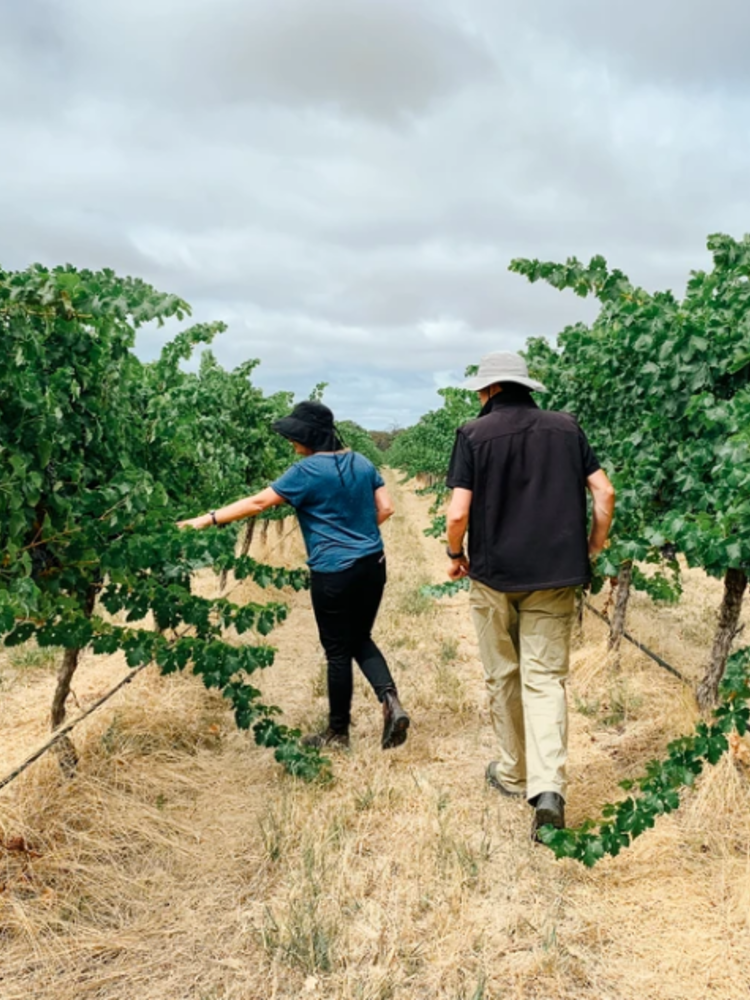 Penley Estate Steyning Cabernet Sauvignon 2020