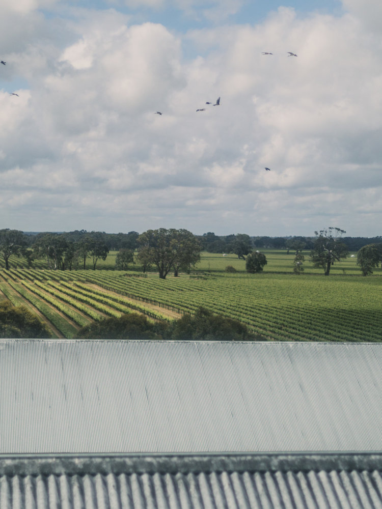 Penley Estate HELIOS Cabernet Sauvignon 2020