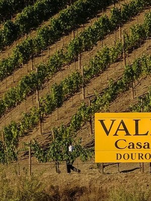 Quinta do Vallado Douro Touriga Nacional Rosé 2025