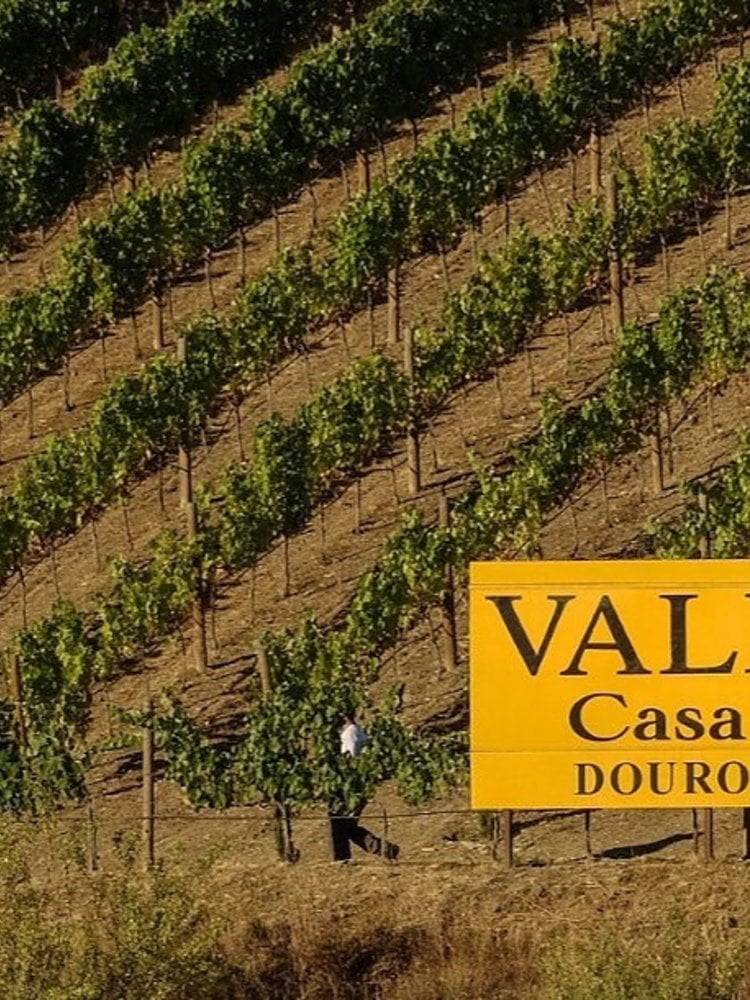 Quinta do Vallado Touriga Nacional Rosé 2022