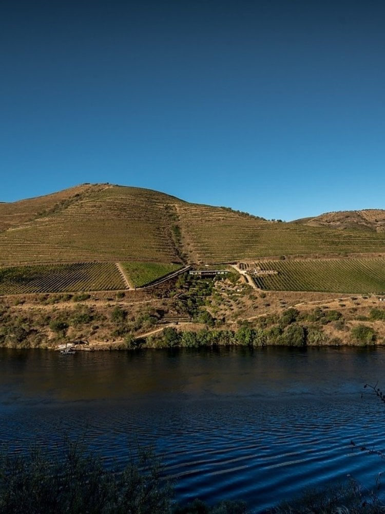 Quinta do Vallado Vinha da Coroa 2016