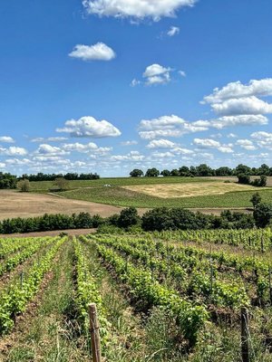 Joseph de Maistre Menetou-Salon Rouge 2023