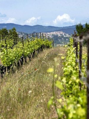 Domaine de Rousset les Coquelicots Rosé 2022