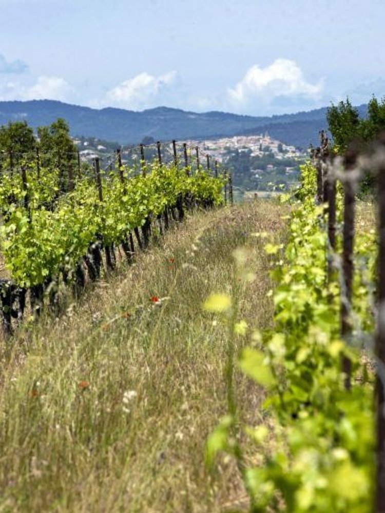 Domaine de Rousset Les Coquelicots Rosé BIO 2022