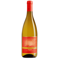 'Ben' Vermentino BIO 2024