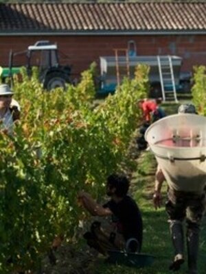 Château Grand-Launay Château Grand-Launay Rouge 'Pour Amelie' BIO 2024